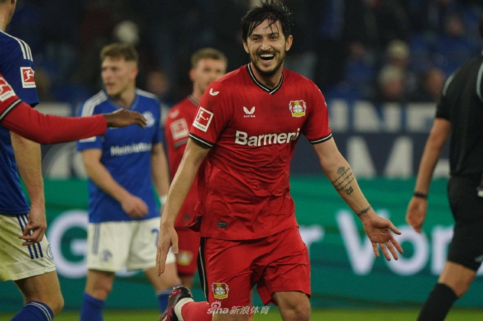 赛面对针对 赛面对针对